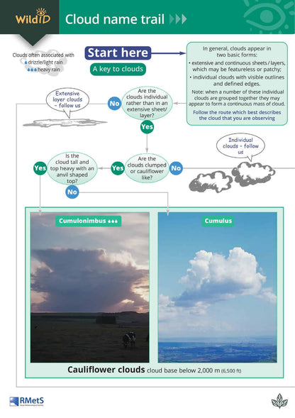 Cloud Name Trail - Wild ID Guide