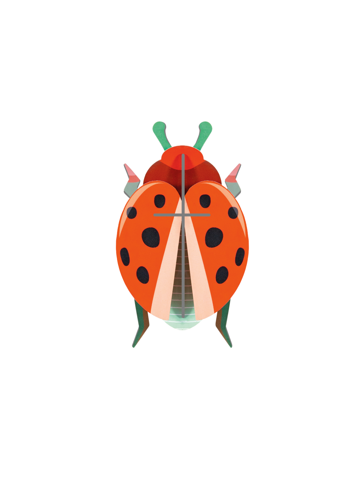 Coccinelle Rouge - StudioROOF