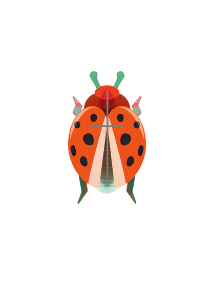 Coccinelle Rouge - StudioROOF