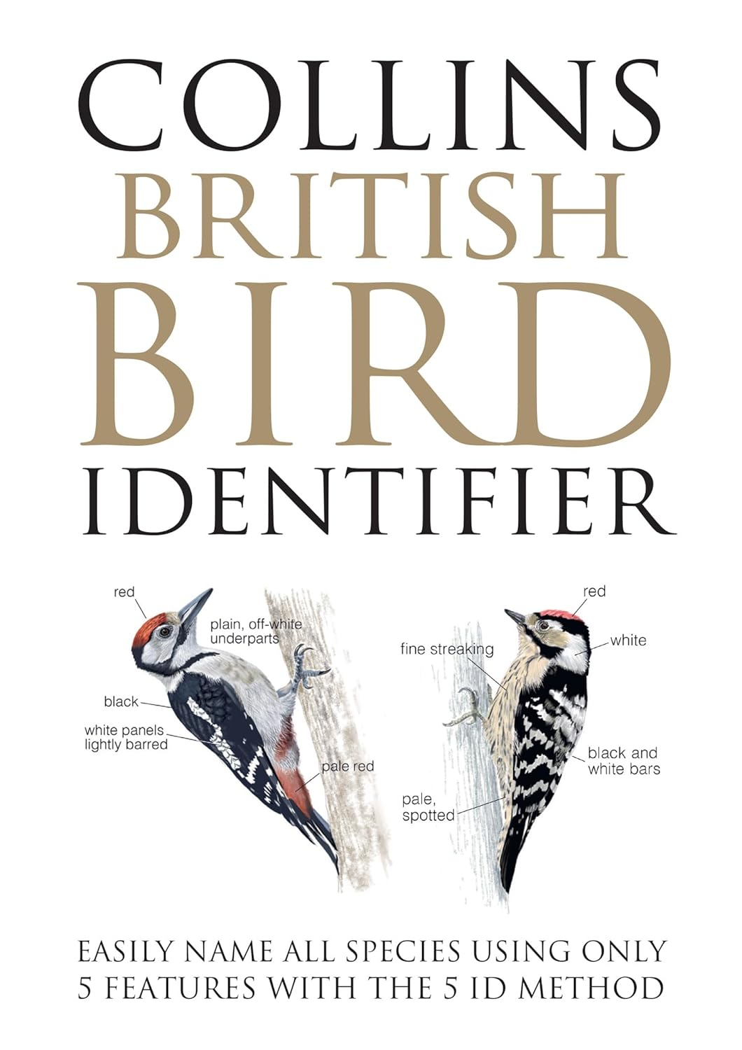Collins British Bird Identifier - By Paul Stancliffe & Jeff Baker