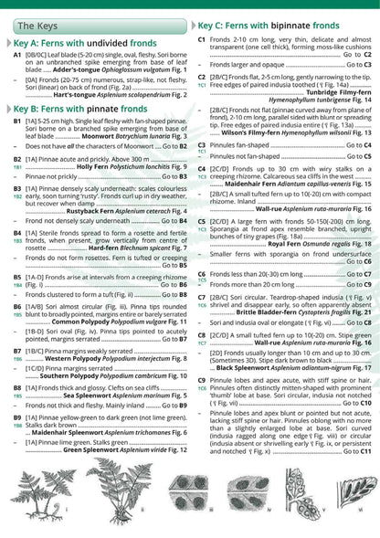 Common Ferns - Wild ID Guide