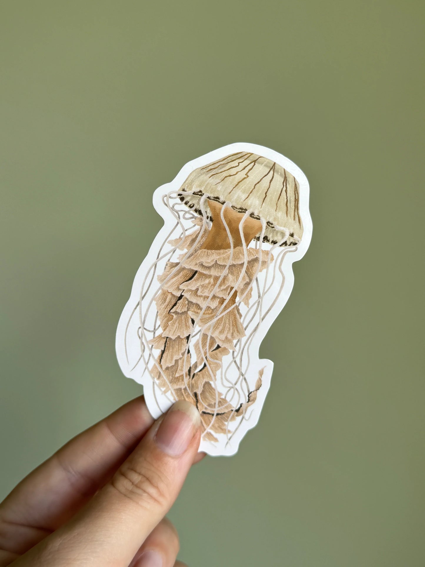 Compass Jellyfish - Vinyl Sticker