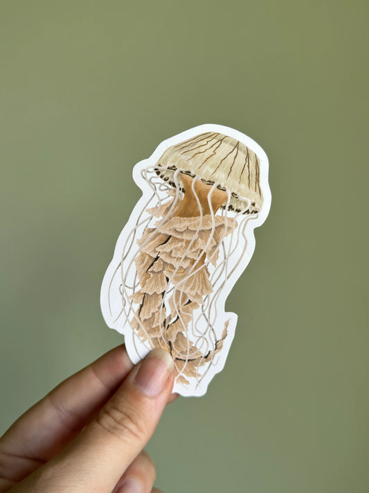 Compass Jellyfish - Vinyl Sticker