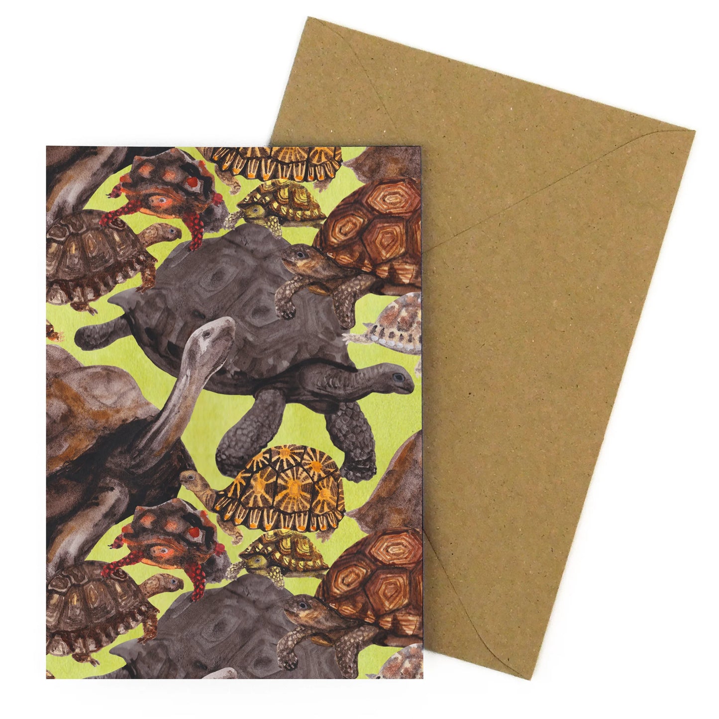 Creep of Tortoises Greetings Card