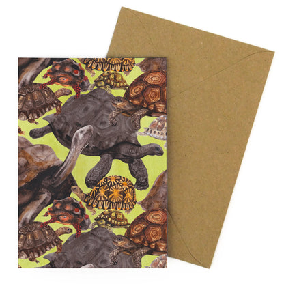 Creep of Tortoises Greetings Card