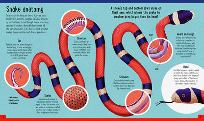 A Day in the Life - Snakes