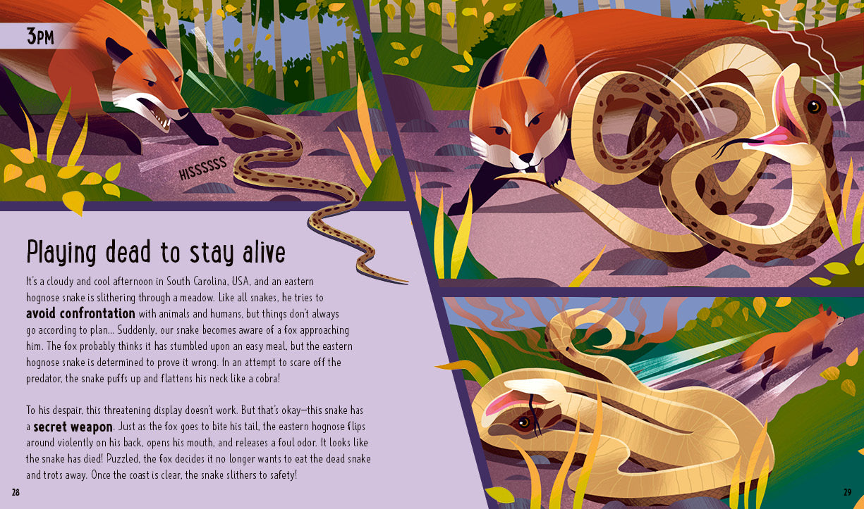 A Day in the Life - Snakes