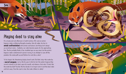 A Day in the Life - Snakes