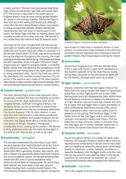 Day-Flying Moths of Britain - Wild ID Guide