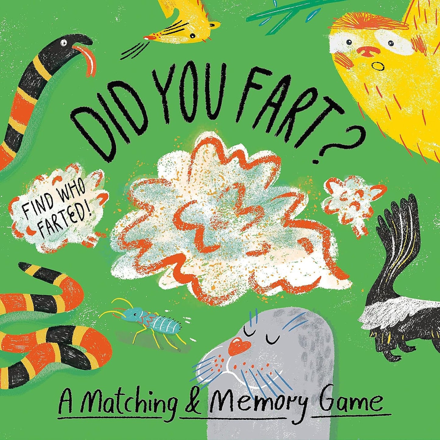 Did Your Fart? A Matching & Memory Game
