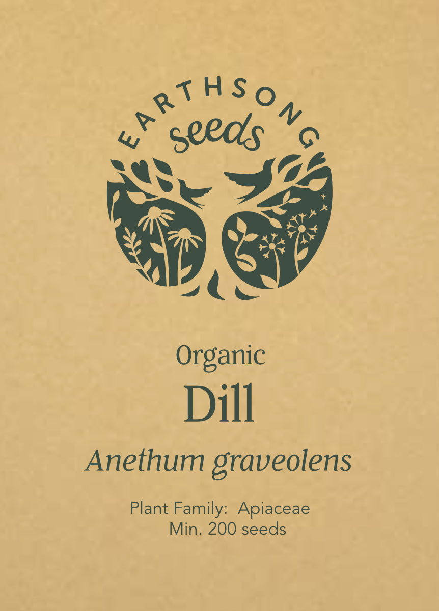 Dill - Seed Packet