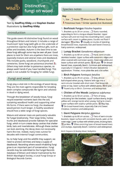 Distinctive Fungi on Wood - Wild ID Guide