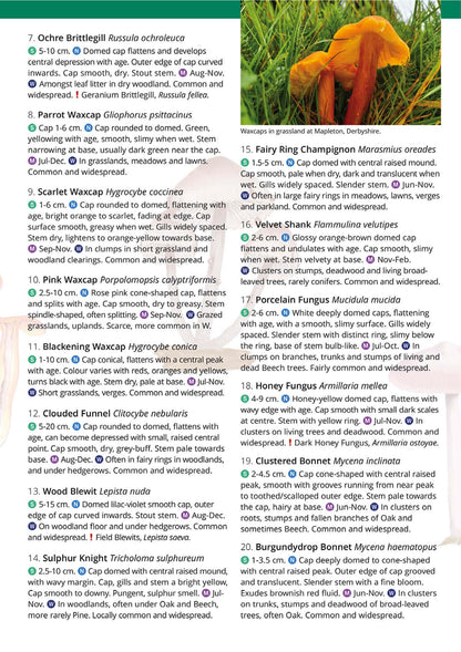Distinctive Gilled Fungi - Wild ID Guide