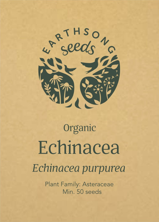 Echinacea purpurea - Seed Packet