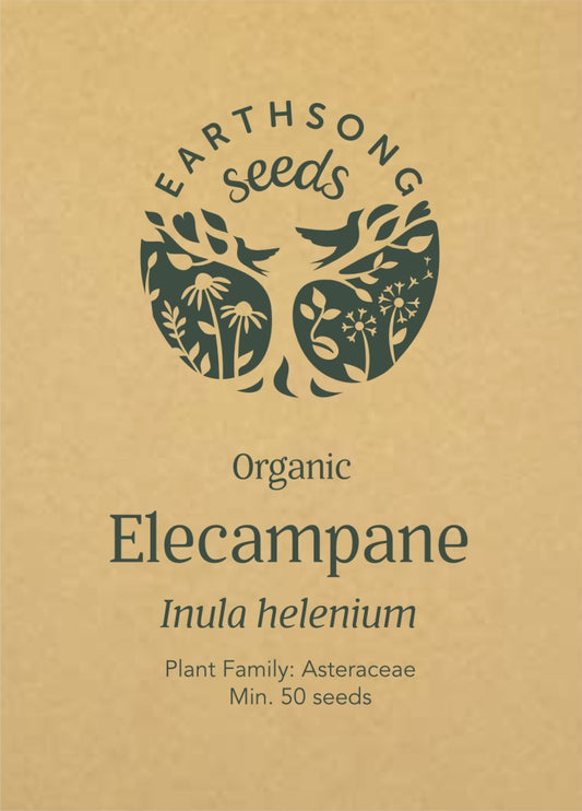 Elecampane - Seed Packet