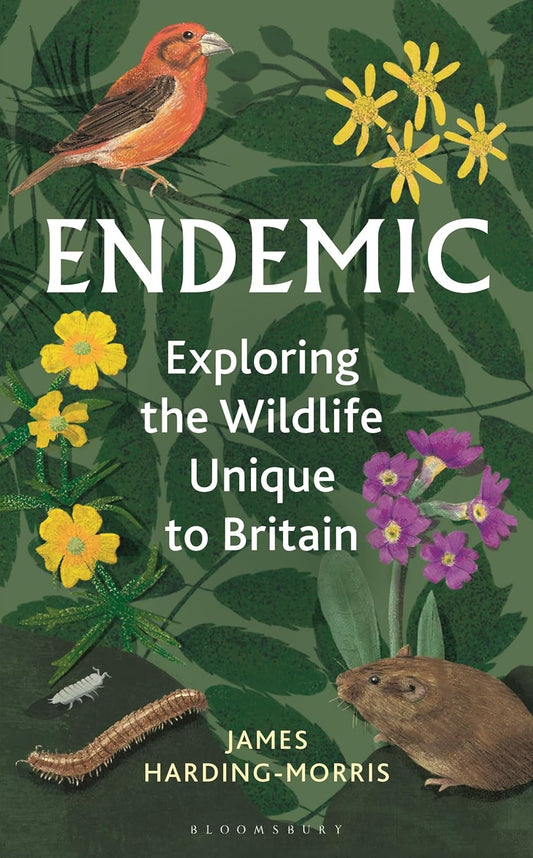 Endemic - By James Harding-Morris