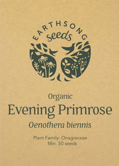 Evening Primrose - Seed Packet