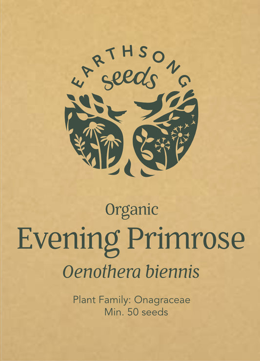 Evening Primrose - Seed Packet