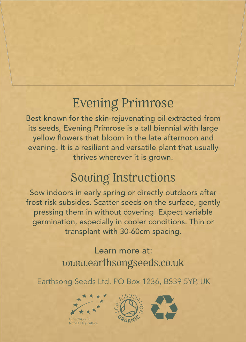 Evening Primrose - Seed Packet