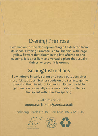 Evening Primrose - Seed Packet