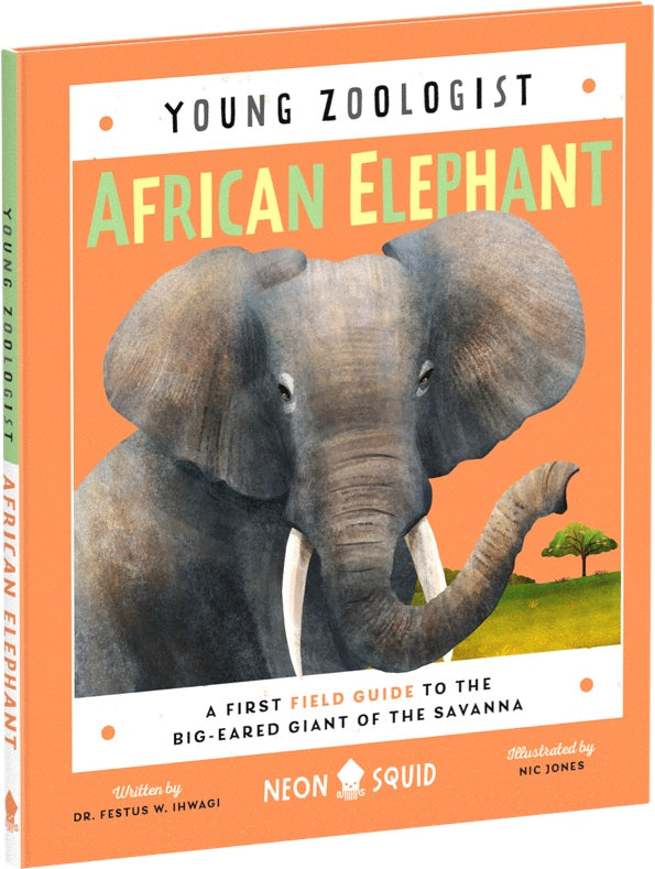Young Zoologist African Elephant