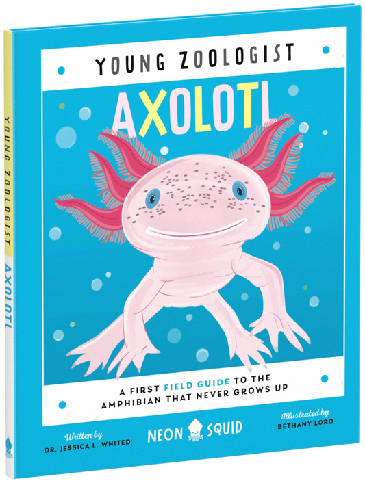 Young Zoologist Axolotl