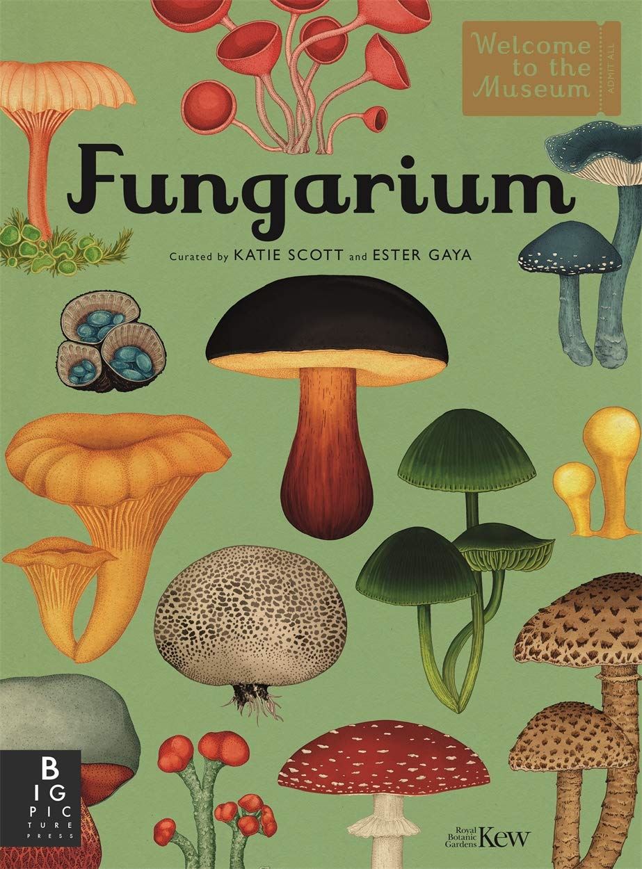 Fungarium - By Ester Gaya & Katie Scott