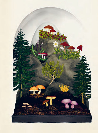 Fungarium Poster Book - By Ester Gaya