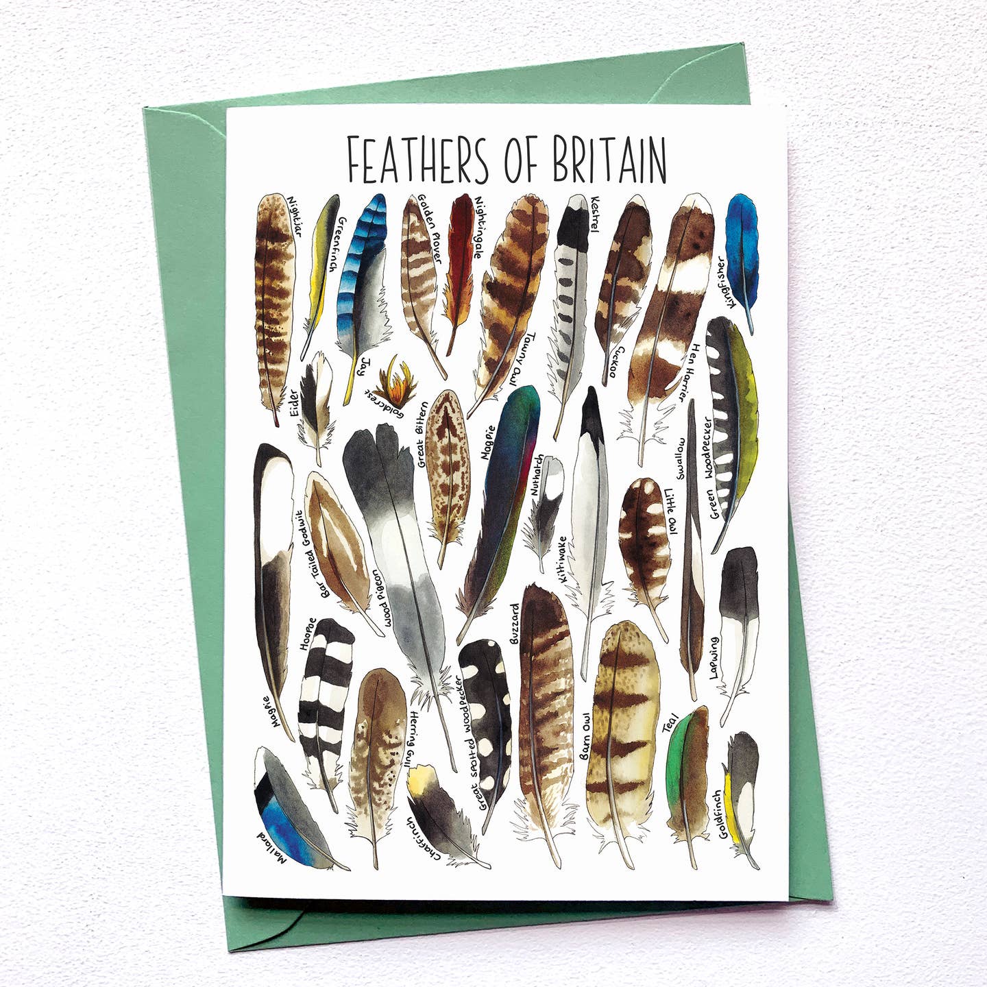 Feathers of Britain - Greetings Card