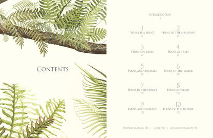 Ferns - By Fay-Wei Li & Jacob S. Suissa