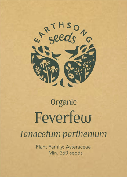 Feverfew - Seed Packet