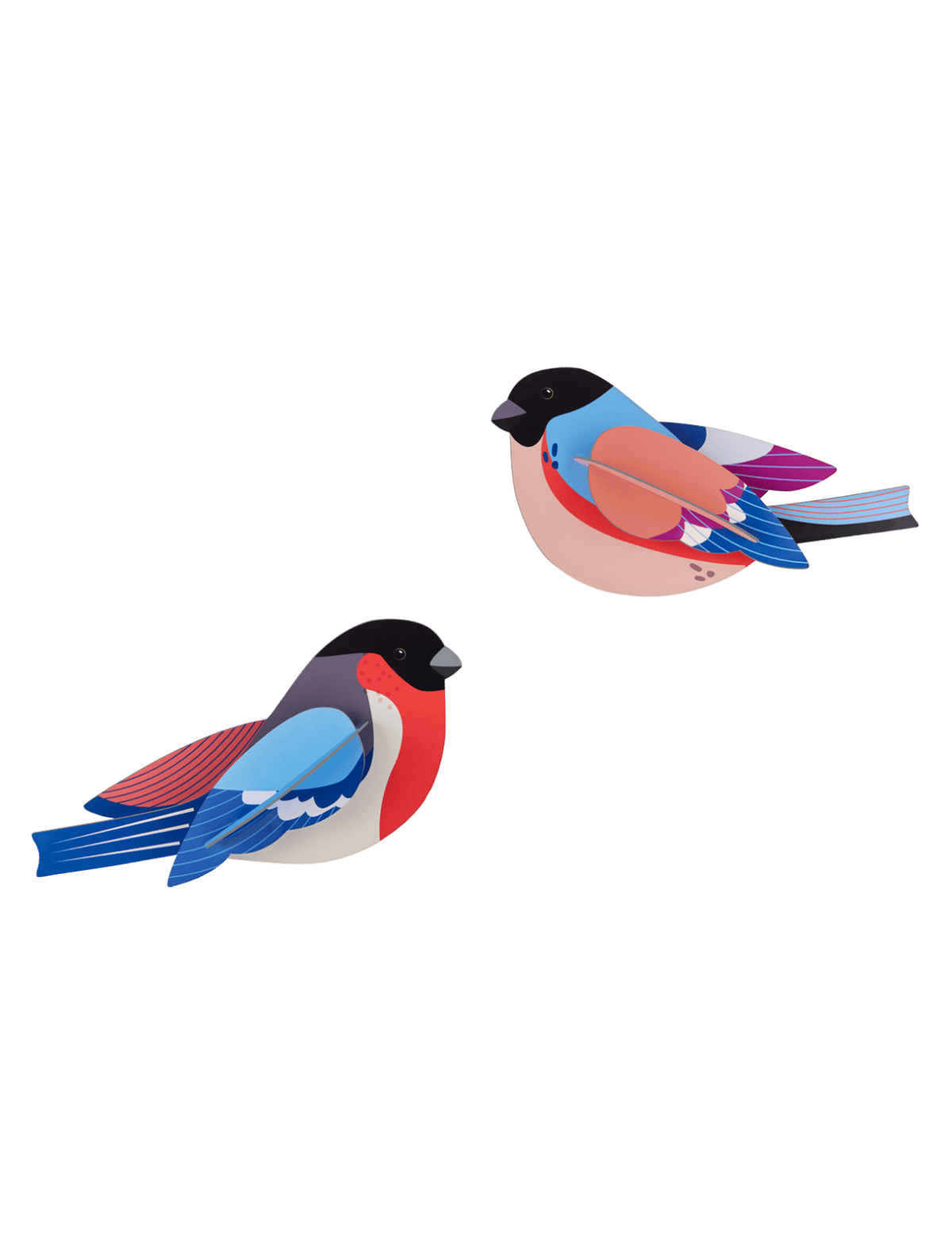 Finches - StudioROOF