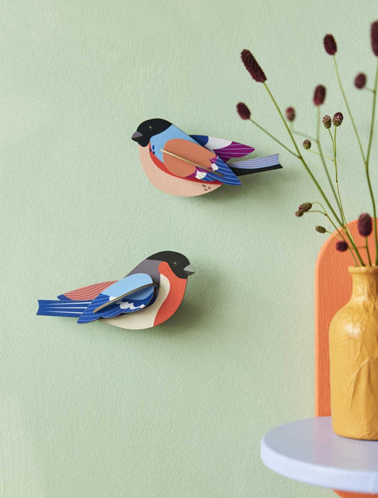 Finches - StudioROOF