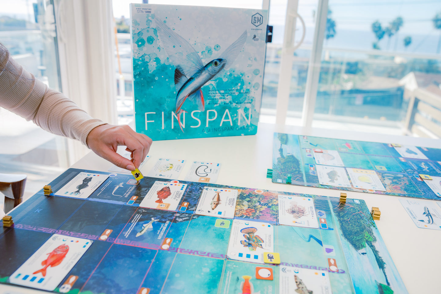 Finspan Board Game