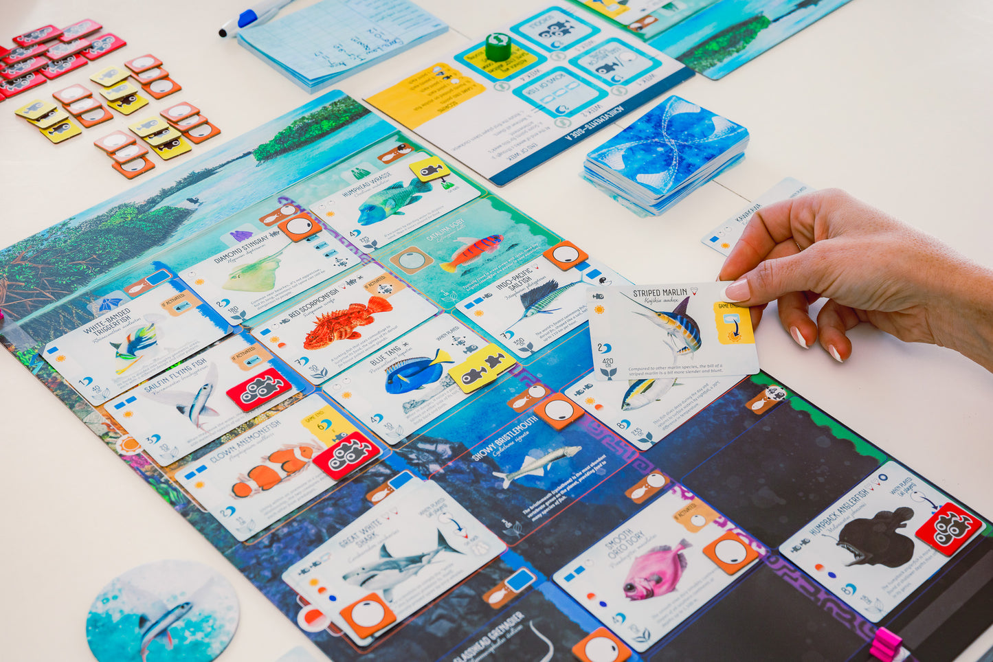 Finspan Board Game
