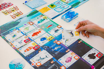 Finspan Board Game