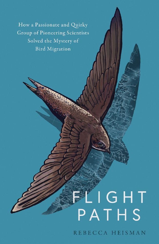 Flight Paths - By Rebecca Heisman