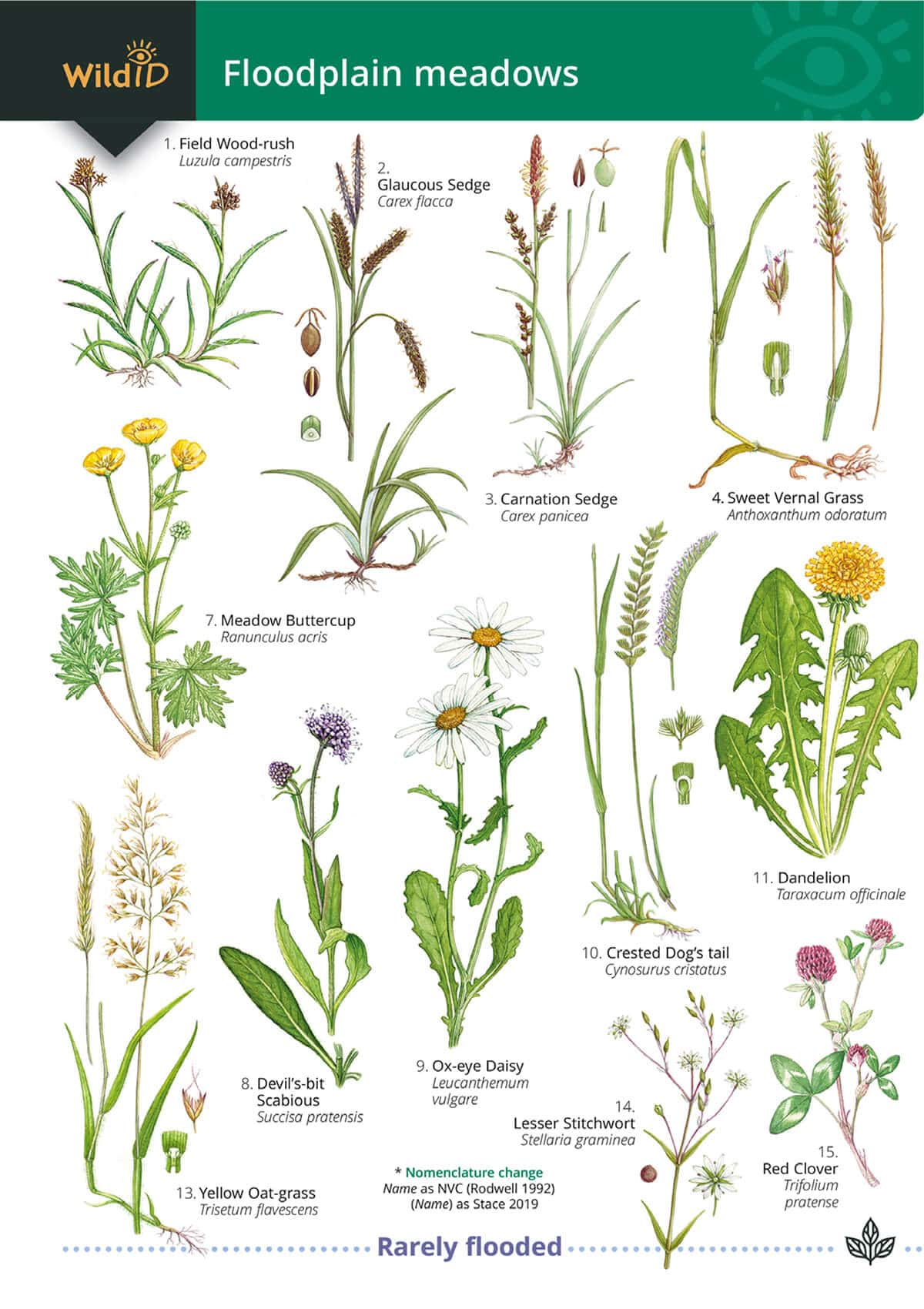 Floodplain Meadows - Wild ID Guide