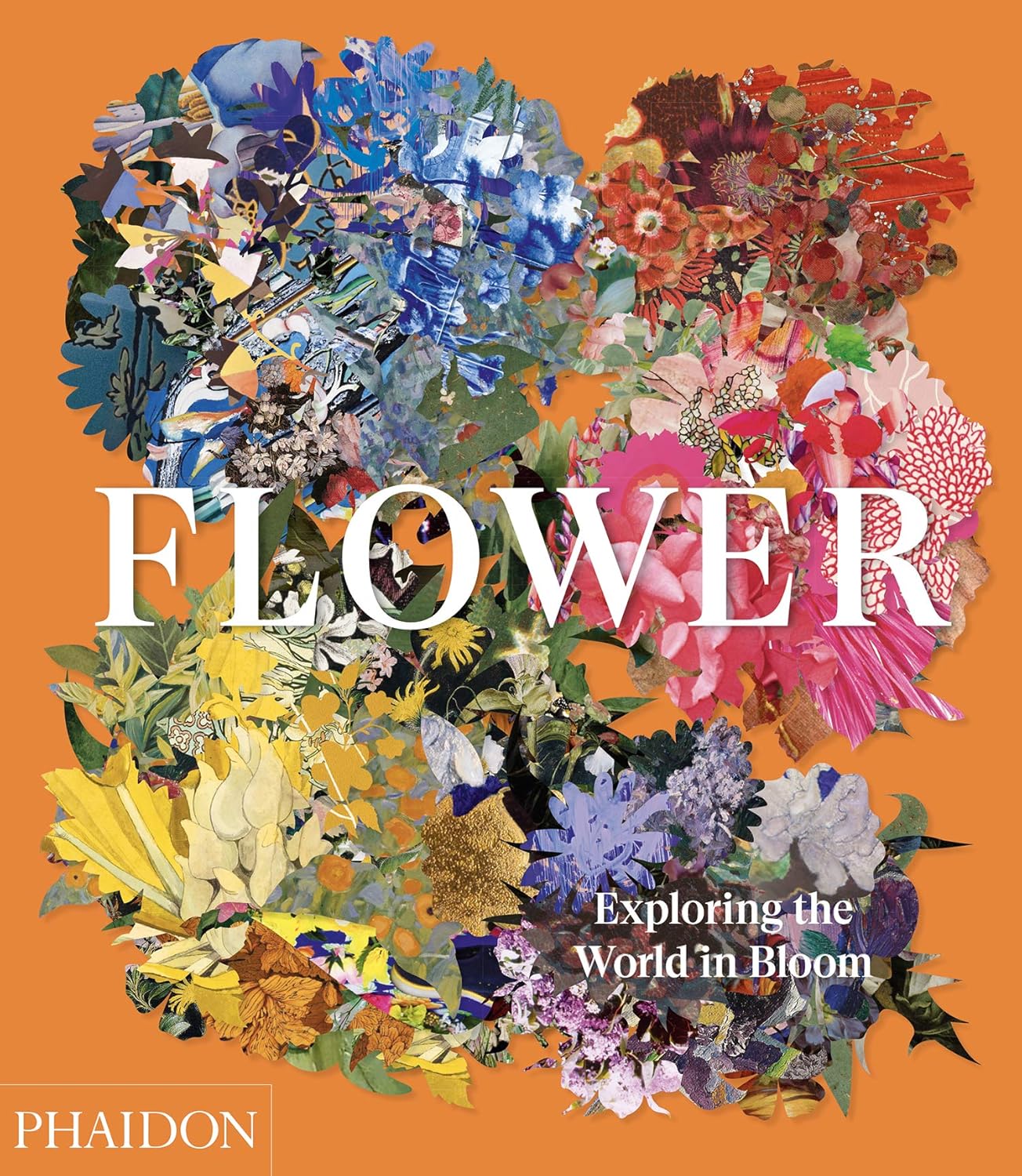 Flower : Exploring the World in Bloom (COMPACT FORMAT) - By Phaidon Editors & Anna Pavord