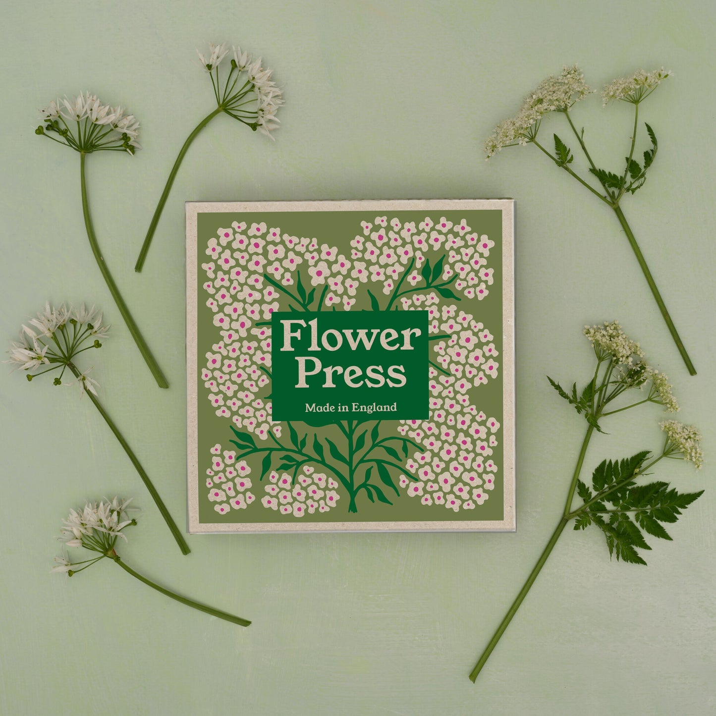 Flower Press - Forget Me Not