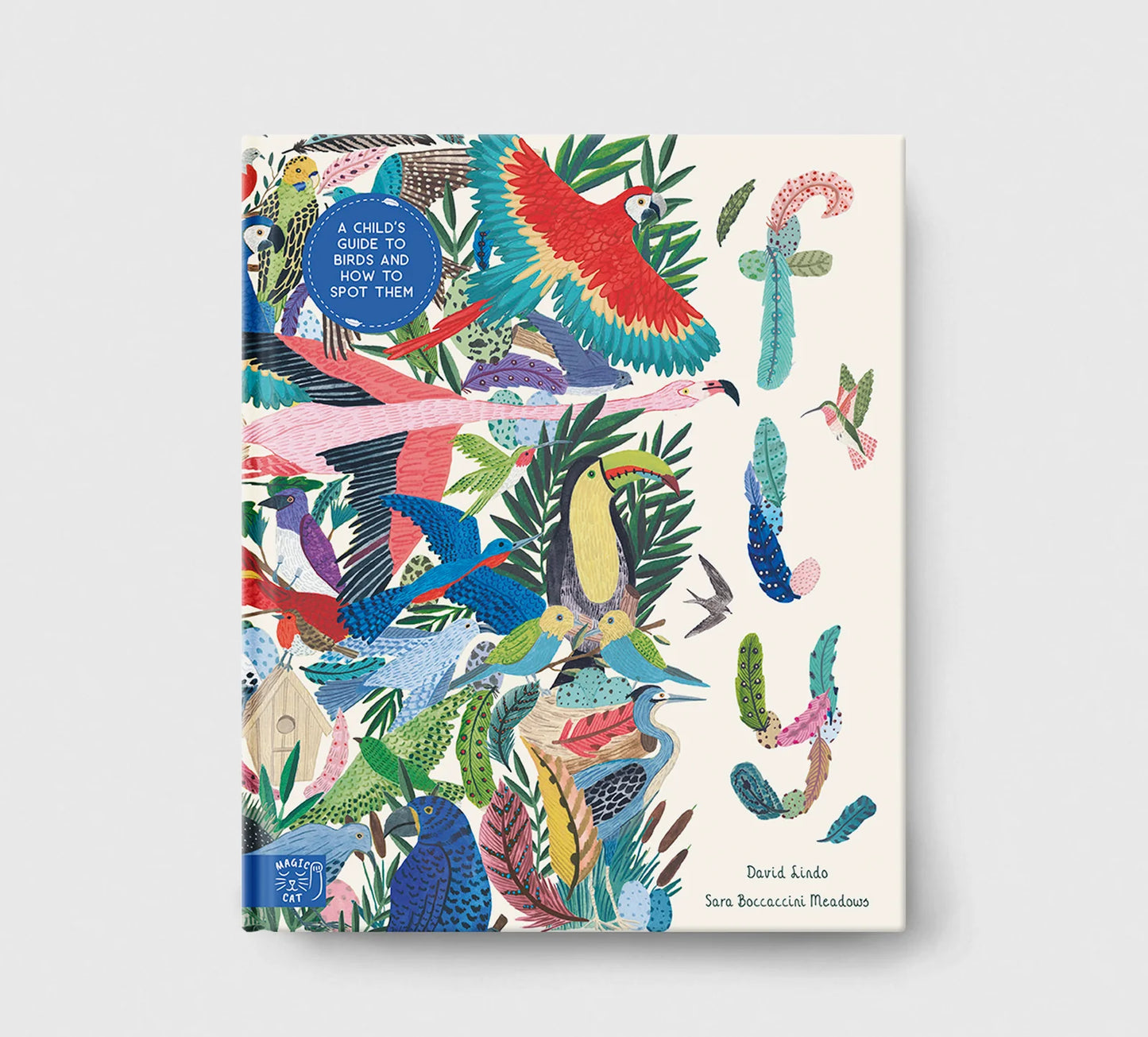 Fly - David Lindo, Illustrated by Sara Boccaccini Meadows