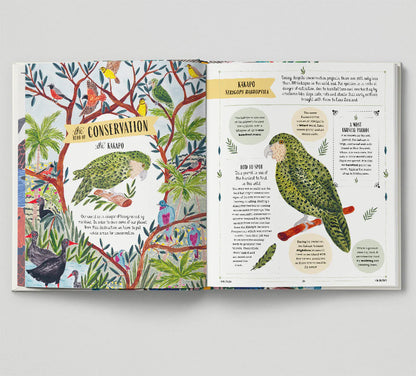 Fly - David Lindo, Illustrated by Sara Boccaccini Meadows
