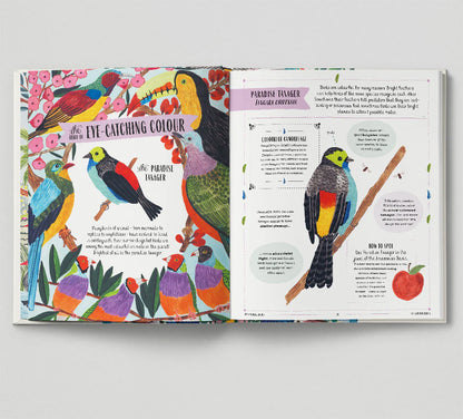 Fly - David Lindo, Illustrated by Sara Boccaccini Meadows