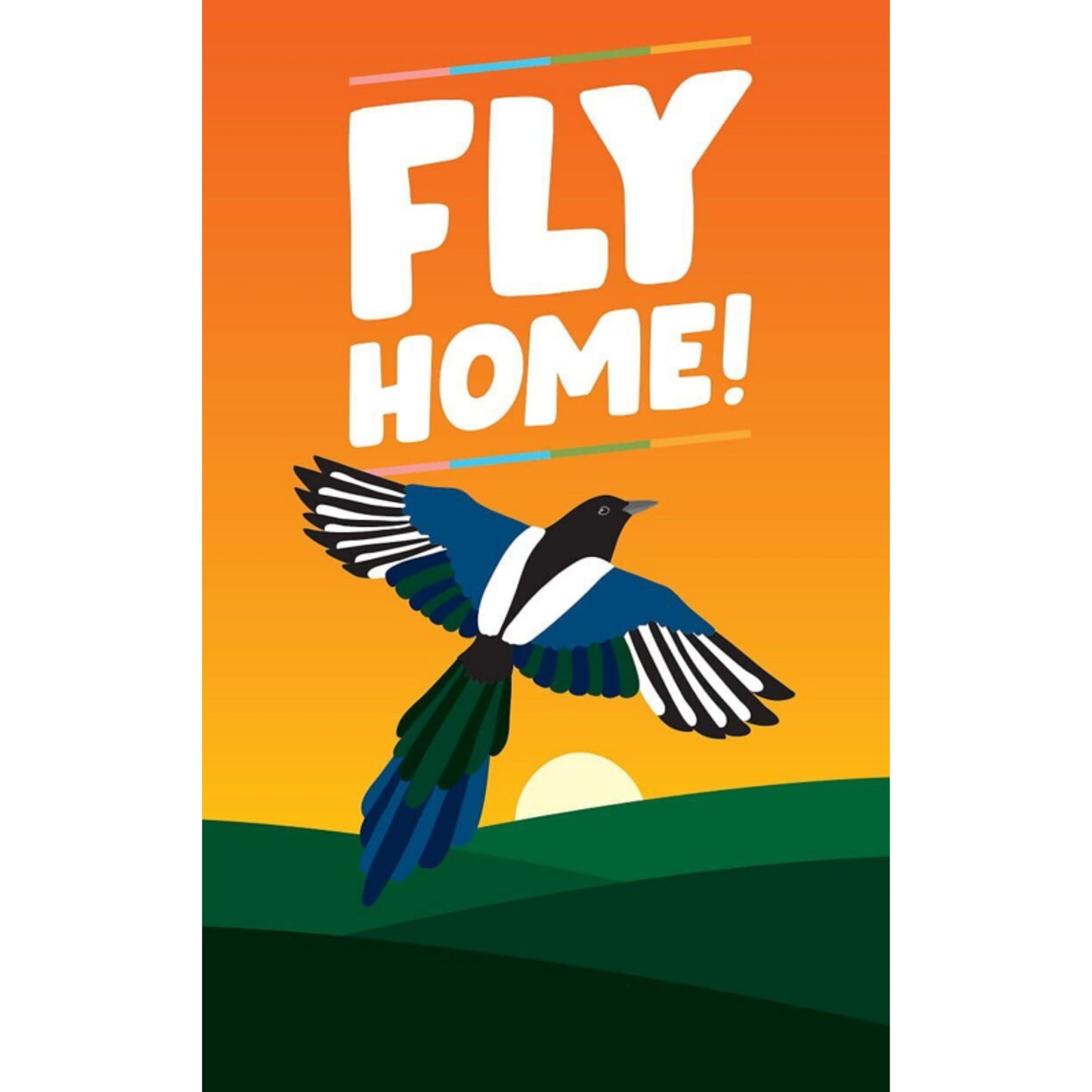 Fly Home Board Game