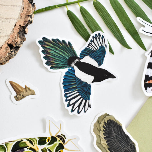 Flying Magpie - Vinyl Sticker