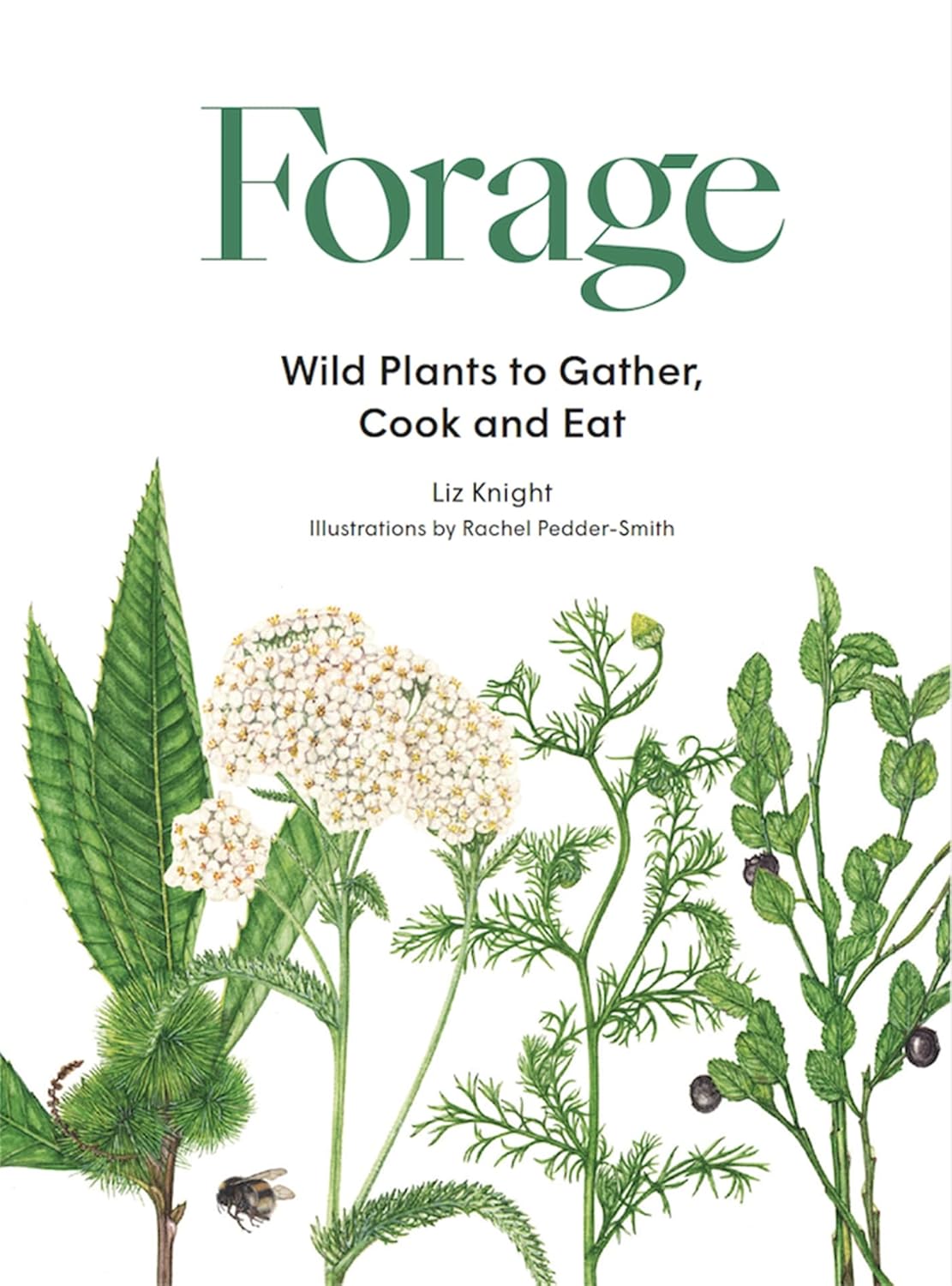 Forage - By Liz Knight