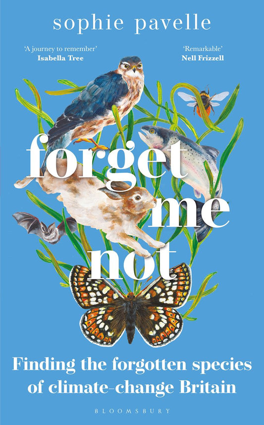 Forget Me Not - By Sophie Pavelle