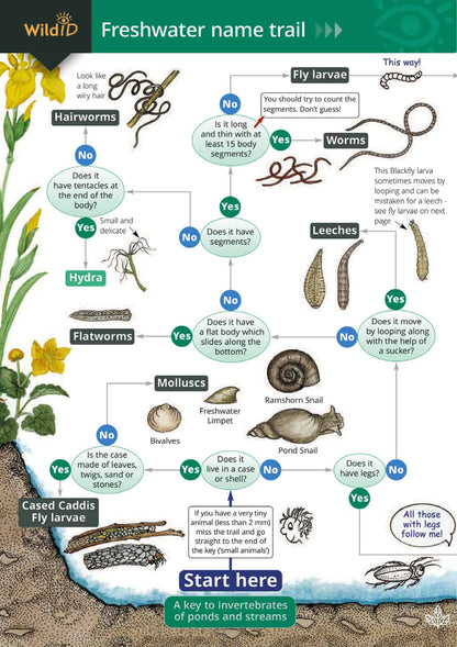 Freshwater Name Trail - Wild ID Guide