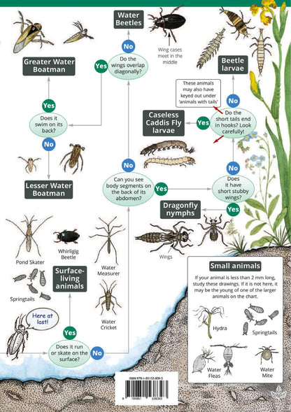 Freshwater Name Trail - Wild ID Guide