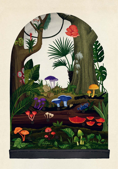 Fungarium Postcards